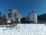 IMAG2645