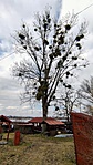 IMG_20220306_114619