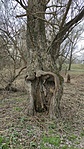IMG_20220307_103837