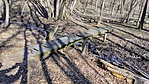 IMG_20220314_092625