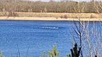 IMG_20220314_095516