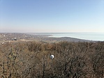 IMG_20220314_100444
