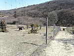 IMG_20220314_120741