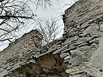 IMG_20220315_135417