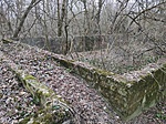 IMG_20220309_165830