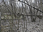 IMG_20220309_170829