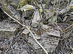 IMG_20220309_170802