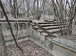 IMG_20220309_170716
