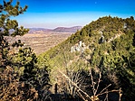 IMG_5817_1