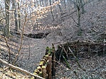 IMG_20220313_145538