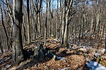 _DSC5147