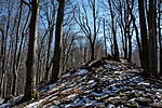 _DSC5146