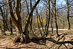 _DSC5272