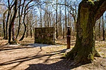 _DSC5275