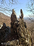 IMG_20220313_125920