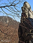 IMG_20220313_125928