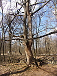 283_1867