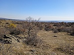 IMG_20220313_111242_1