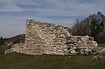 IMG_5522