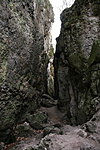 IMG_5591