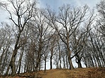 IMG_20220315_143626