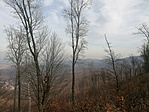 IMG_20220315_143926