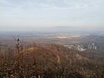 IMG_20220315_144441