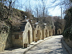 IMG_7981