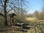 IMG_8036