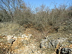 IMG_8042