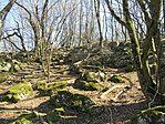 IMG_8048