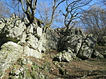 IMG_8054