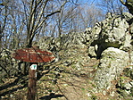 IMG_8053