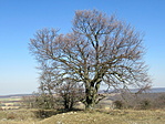 IMG_8059