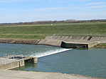 IMG_8125