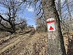 IMG_4576