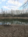 IMG_6489
