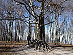 DSC06070