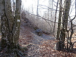 DSC06077
