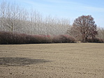 DSC06185
