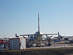 IL-18