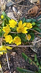 IMG_20220313_145324