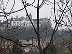 DSC03801