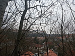 IMG_20220304_120023