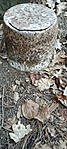 GCOSTO_20220319_163841