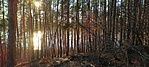 IMG_20220319_164548_080