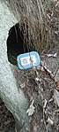 GCOSTO_20220319_163829