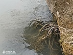 IMG_20220330_174940