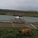 IMG_20220316_135330