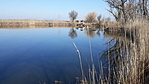 Kalocsa